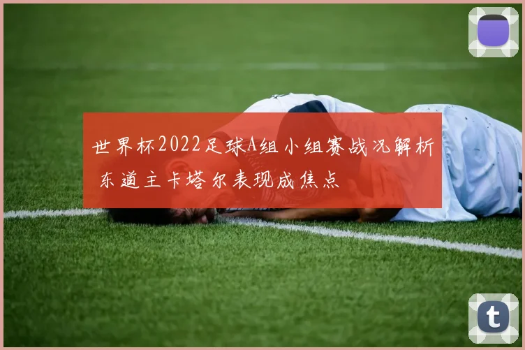 世界杯2022足球A组小组赛战况解析 东道主卡塔尔表现成焦点