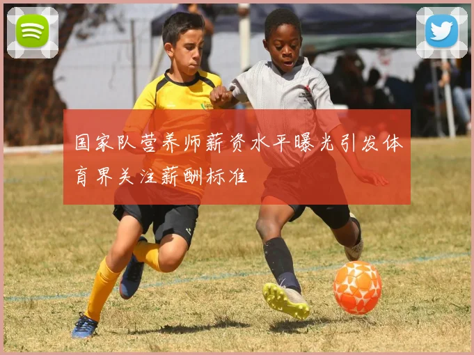 国家队营养师薪资水平曝光引发体育界关注薪酬标准