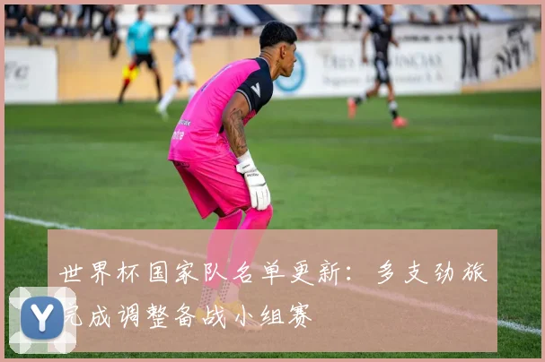 世界杯国家队名单更新：多支劲旅完成调整备战小组赛