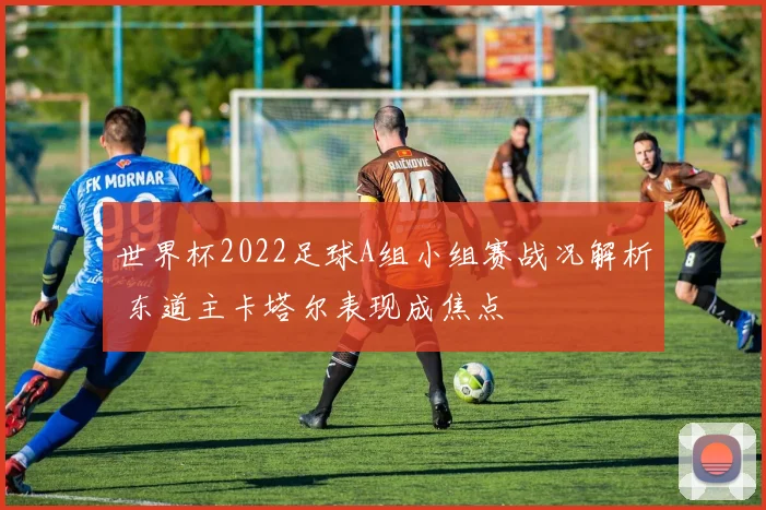 世界杯2022足球A组小组赛战况解析 东道主卡塔尔表现成焦点