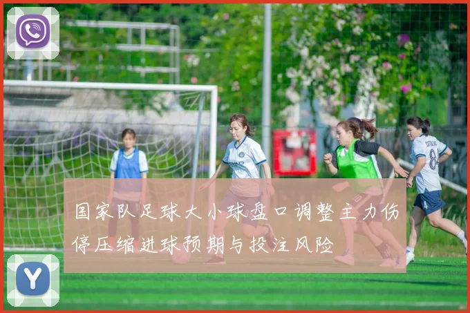 国家队足球大小球盘口调整主力伤停压缩进球预期与投注风险