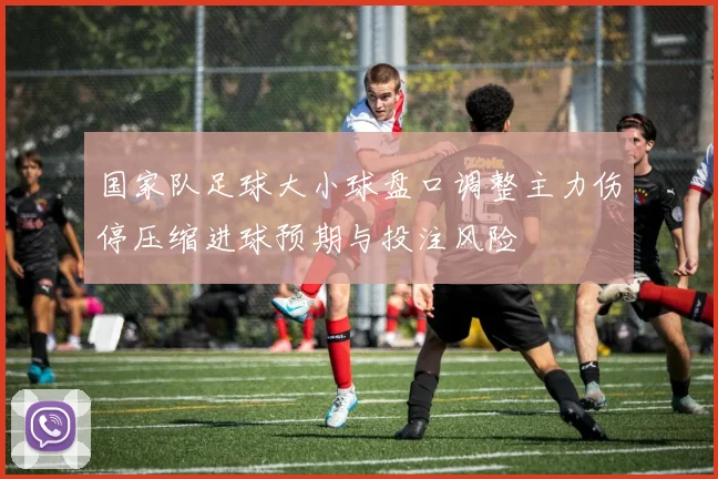 国家队足球大小球盘口调整主力伤停压缩进球预期与投注风险